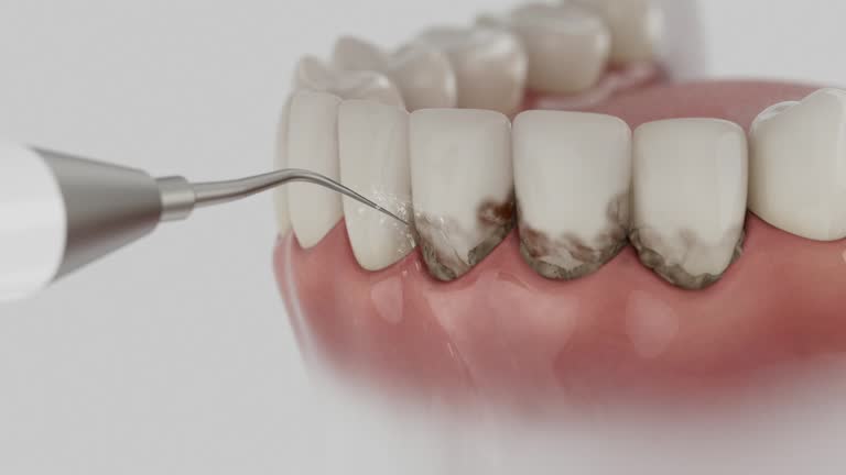 Reliable Dental contractor in Grayling, MI by Dentist Open Now
